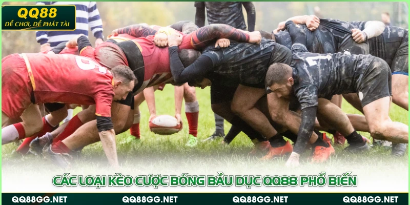 Các loại kèo cược bóng bầu dục QQ88 phổ biến
